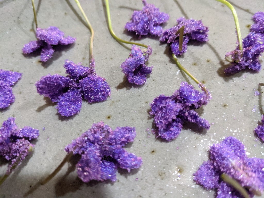 This image has an empty alt attribute; its file name is violets.jpg